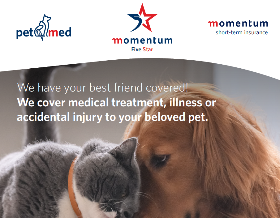 Momentum Pet Med